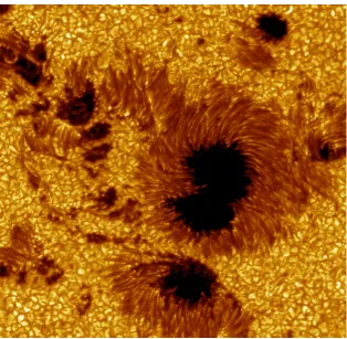 Figure 1.1  A complex sunspot group taken 15 July 2002 by the 1 metre Swedish Solar Telescope on La Palma