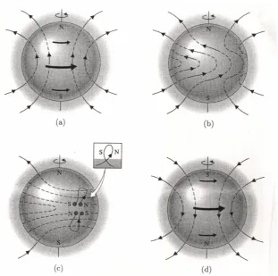 Figure 1.5  The Solar Cycle.  The initial poloidal field (a) is twisted into a toroidal field (b) by differential rotation (the Ω effect)