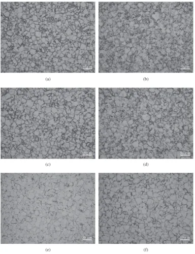 Fig. 9Micrograph of as-received Inconel 718 (undeformed) in transversedirection.