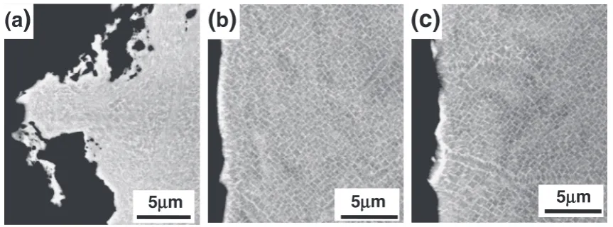 Figure 3 shows cross-sectional BSE images after thealuminizing treatment. After the aluminizing process, the