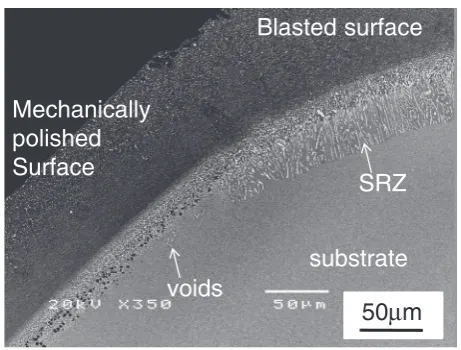 Fig. 6Thickness of the void formation layer after exposed for 100 heatcycles at 1373 K.