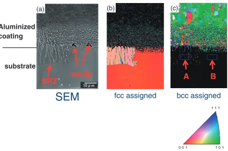 Fig. 7(a) Cross-sectional SEM image of blasted (110�) after 3 heat cycles and corresponding orientation map assigned as (b) fcc and(c) bcc, respectively.