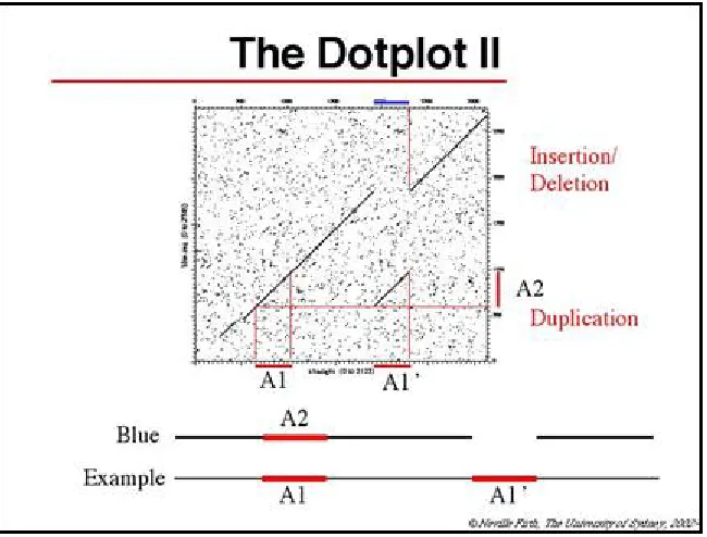 Figure 1. Similarity analysis using the Dotplot method, showing visualization of genetic insertion/deletion/duplication events on a large scale 
