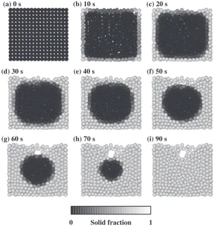 Fig. 11Calculated shrinkage formation behavior during solidiﬁcation (Case 2).