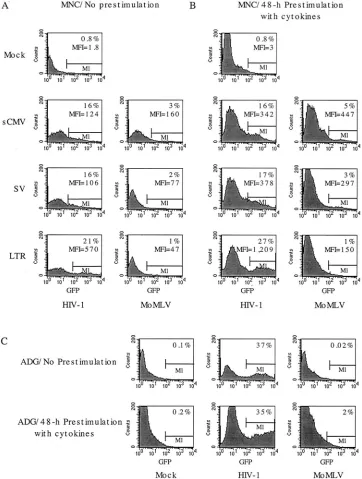 FIG. 2. Flow cytometry of canine bone marrow MNC transduced with HIV-1 or MoMLV vectors encoding EGFP under the control of thesCMV immediate-early, SV40 early, or viral LTR promoter-enhancer elements