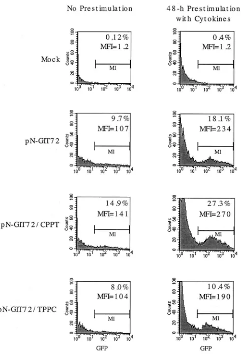 FIG. 3. Flow cytometry of canine bone marrow MNC transducedwith Tat72 vectors containing the CPPT and CT sequences in the sense