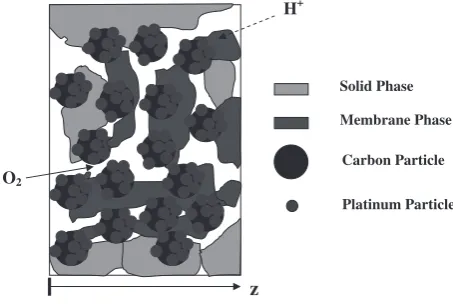 Fig. 1Cathode catalyst layer model of a PEM fuel cell.
