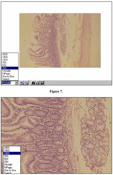 Figure 7.  