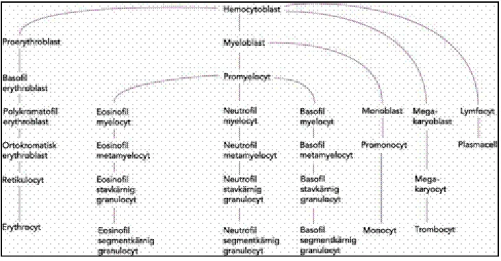 Figure 11. 