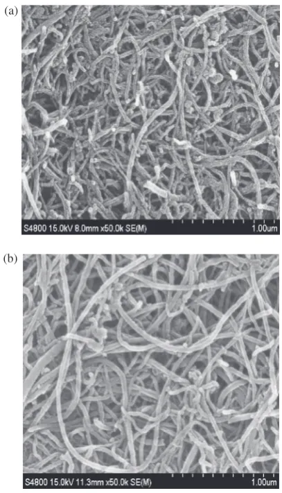 Fig. 1FE-SEM image of (a) puriﬁed SCNTs; and (b) puriﬁed MCNTs.