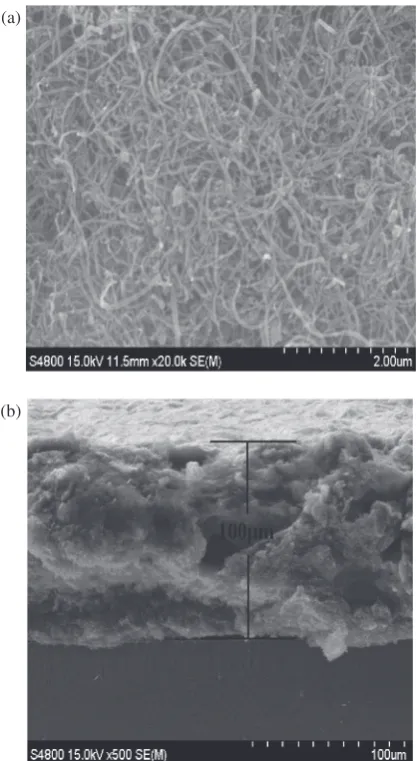 Fig. 4(a) FE-SEM image; and (b) cross-section image, of Degussa P25TiO2 thin ﬁlm.