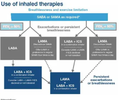 Figure – Inhalation therapies in COPD according to GOLD guidelines 