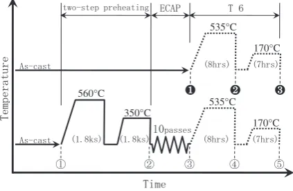 Fig. 1Procedures for sample preparation.