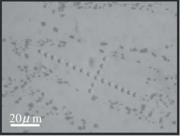 Fig. 11Relationship between eutectic Si particle morphology and increasein hardness during ECAP processing