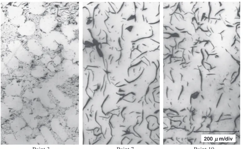 Fig. 6Graphite shape on Point 3, 7 and 10.