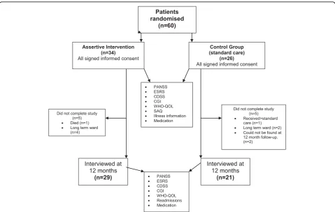 Figure 1 Study methodology34 participants were randomised to the intervention group and 26 to the treatment as usual group