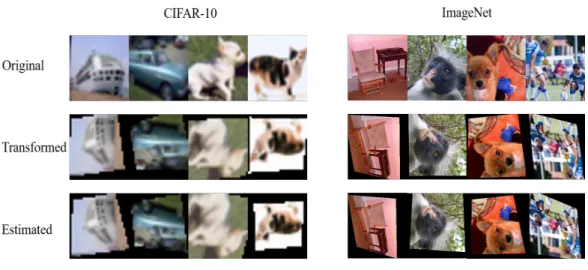 Figure 3.5: Some examples of predicted transformations by the AET.