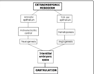 Figure 5 Hypothetical embryonary interstitial confluence of amniotic and yolk sac trophic axis toinduce gastrulation.