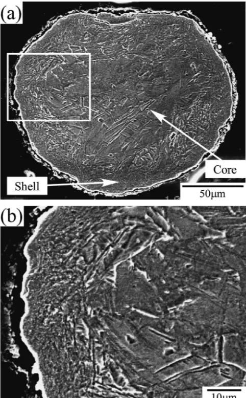 Fig. 2Cross sectional SEM micrographs of (a) MM90ks and (b) enlargedimage of selected rectangular area in (a).