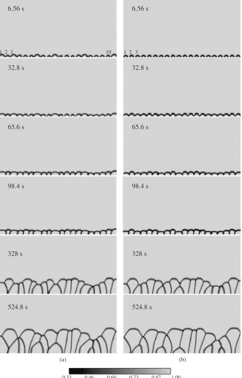 Fig. 5(a), that the bigger seeds with lower orientation angles