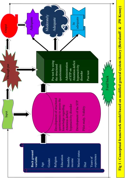 Fig 1 : Conceptual framework model based on modified general system theory (Betralanff  & JW Kenny)