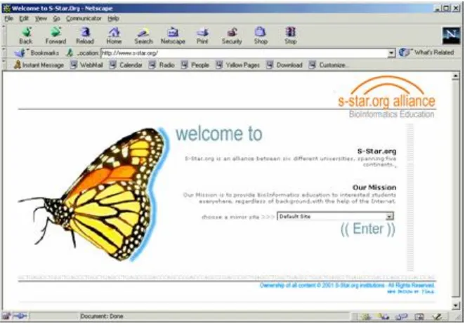 Figure 1. The S-Star home page  