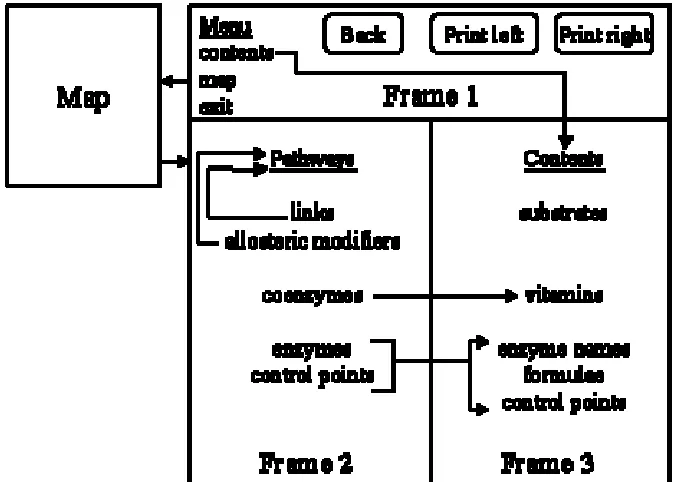 Figure 1. Outline of screen structure  