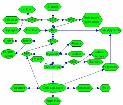 Figure 2. Map with hotspots that link to metabolic pathways  