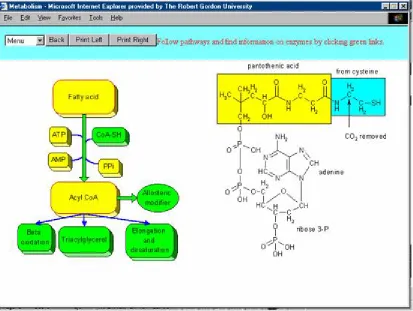 Figure 3. Illustration of pathway screen in Frame 2  