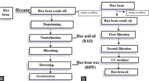 Figure 1: Flow diagram of rice bran oil (RBO) production, (a) RBO from solvent extraction process, (b) RBO from cold pressed extraction process[20]