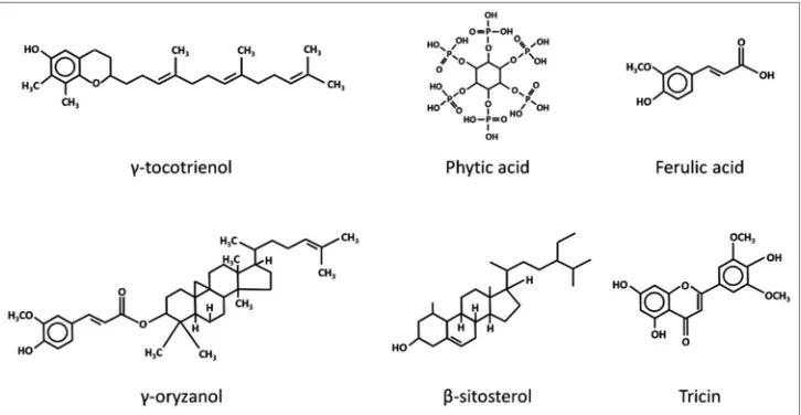 Figure 2: The chemical structures of phytochemicals present in rice bran oil[39]