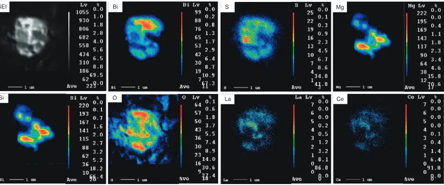 Fig. 13Secondary electron image and X-ray images of C and Bi in the spheroidal graphite in the specimen containing Bi