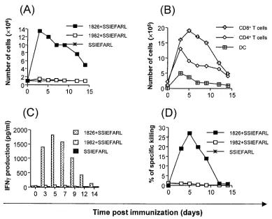 FIG. 1. Analysis of cellularity, cell types, IFN-�point). Controls that were included and but are not shown consisted of MHC-mismatched irrelevant peptide targets
