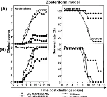 FIG. 3. The induction of protective immunity against zoster challenge with HSV following systemic immunization