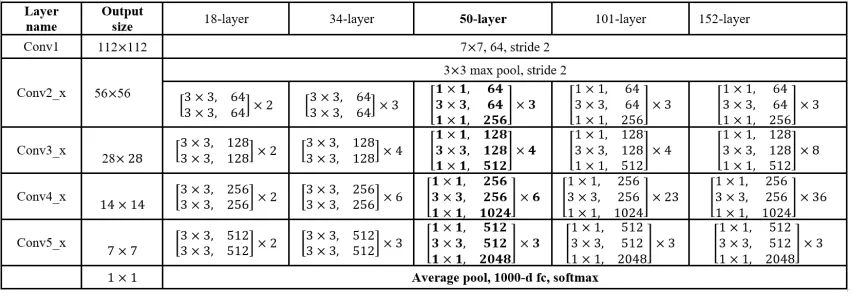 Figure 2.5: Network architecture variants of ResNet