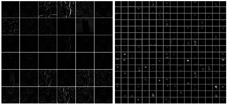 Figure 2.10: Visualizing Deep CNN activations in the second and ﬁfth convolution layerof a AlexNet [1]