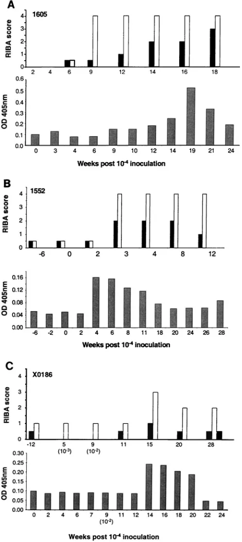 FIG. 4. RIBA and NS3 ELISA results obtained for sera fromCh1605 (A), Ch1552 (B), and ChX0186 (C) following challenge with