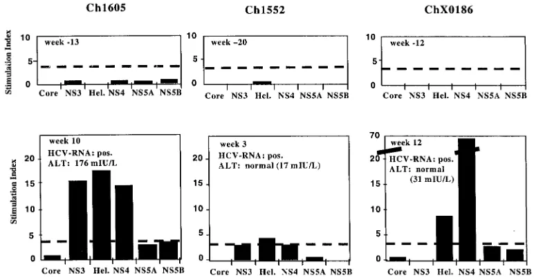 FIG. 5. T-cell proliferation assay with PBMCs from Ch1605, Ch1552, and ChX0186 prechallenge (top panels) and postchallenge (lower panels)with infecting plasma