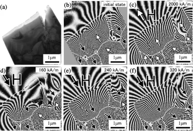 Fig. 6Ex situ observations of magnetization reversal in sample A. (a) Bright-ﬁeld image showing the same region of the specimen asthat in Fig