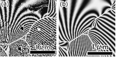 Fig. 8Comparison of the reconstructed phase images between (a)observation and (b) simulation