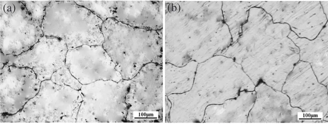 Fig. 1Optical microstructures of AZ31 alloy before cold forging: (a) as-cast and (b) homogenized at 673 K.
