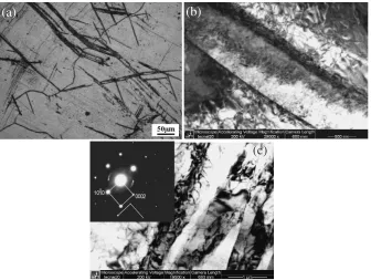 Fig. 2Optical micrographs of the alloy forged under the strains of (a) 2.5%, (b) 5%, (c) 7.5%, (d) 10%, and (e) 15%.