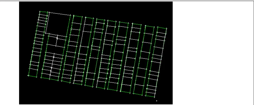Figure 3.3 Cemetery plots collected and illustrated graphically on CivilCad 5.72. 