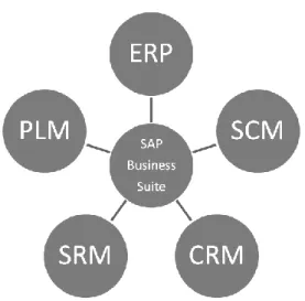 Fig. 3. SAP Business Suite ® 5. Conclusions 