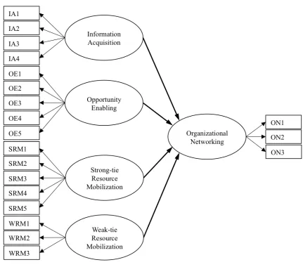 Figure 2  The MIMIC measurement model 