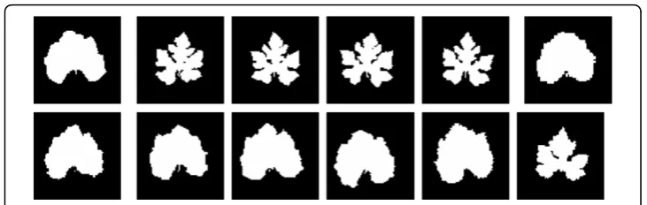 Figure 2 Leaf shapes after alignment for leaf shapes shown in Fig. 1