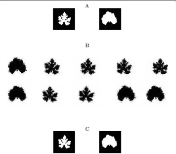 Figure 3 The first simulation scheme: A “big” QTL controls differences in leaf shape between wildtypes and cultivars for cucurbit plants
