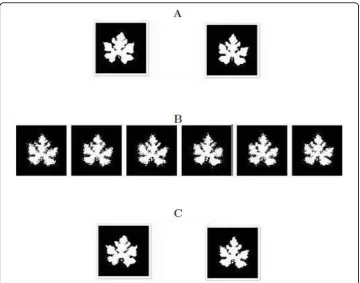 Figure 4 The second simulation scheme: A(left) andgenotypes, “small” QTL controls differences in leaf shape amongdifferent plants from wild types of cucurbit plants