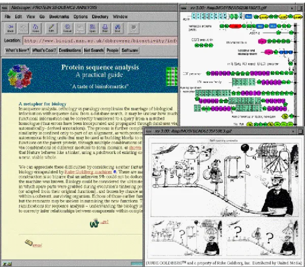 Figure 3. Typical page from within an 'info loop', showing background material with  embedded diagrams 