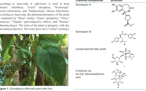 Table 1: Chemical compounds present in Scindapsus officinalis
